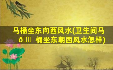 马桶坐东向西风水(卫生间马 🐠 桶坐东朝西风水怎样)